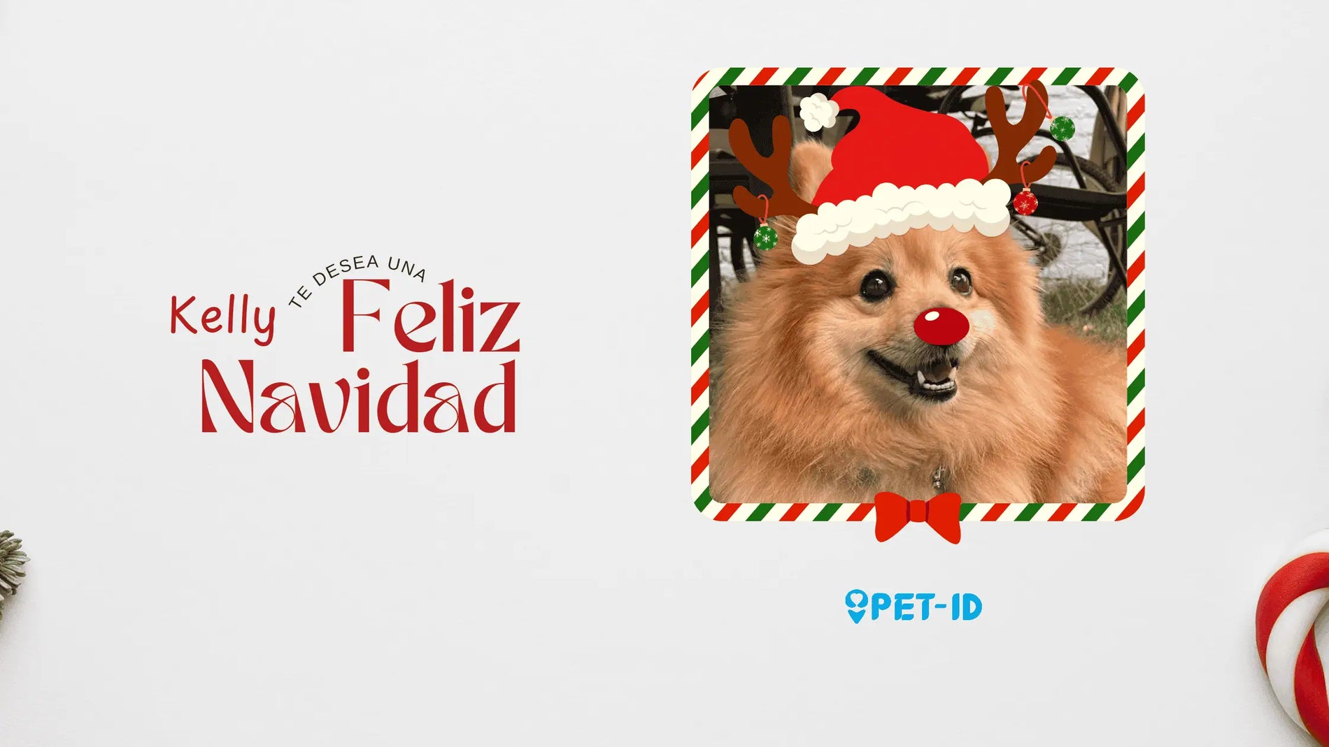 🎄✨ ¡Connect da la bienvenida a la Navidad! 🎅🐾