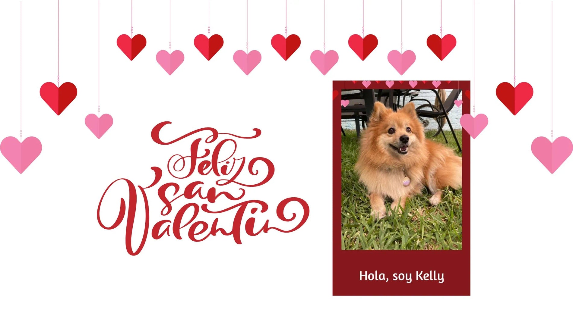 💖 Celebra San Valentín con tu Mascota y la Nueva Skin de Pet-ID 💖